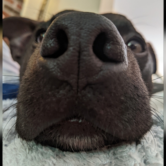 Click to see who I am! (a girl with a clothing problem!) - Picture 3 of 12